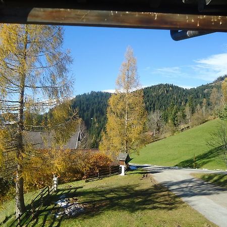 Vila Bauernhof Oberkendl Wagrain Exteriér fotografie